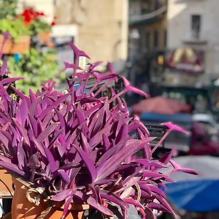 Il Sole Di Montesanto 3* Nápoly